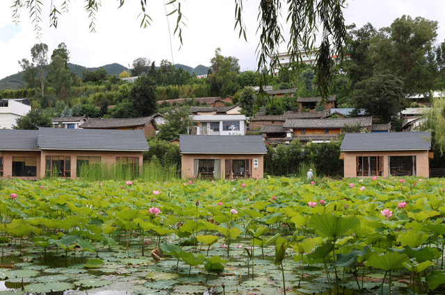云南姚安光禄古镇：北纬25度的避暑秘境 引八方旅居者共筑田园生活