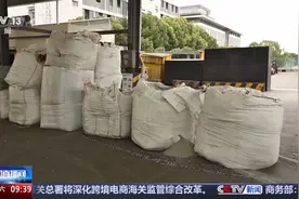 超2600吨 海关侦破多起走私洋垃圾案图片