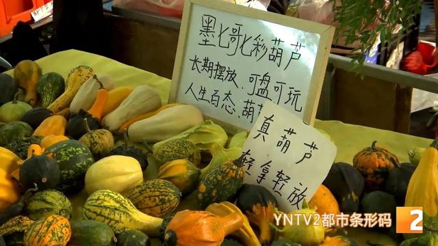 爆爆爆！昆明太火爆了，景点全是人，这里7月就涌入了162.96万人……