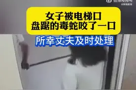 女子电梯口被蛇咬 老公教科书式操作图片