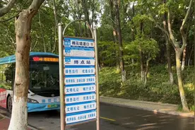 可以坐轮渡去江心洲啦 南京棉花堤渡口-旗杆渡口复航图片