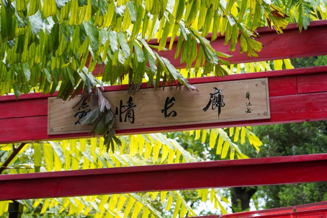 云南浪漫不停档，带你打卡爱意满满的旅行地