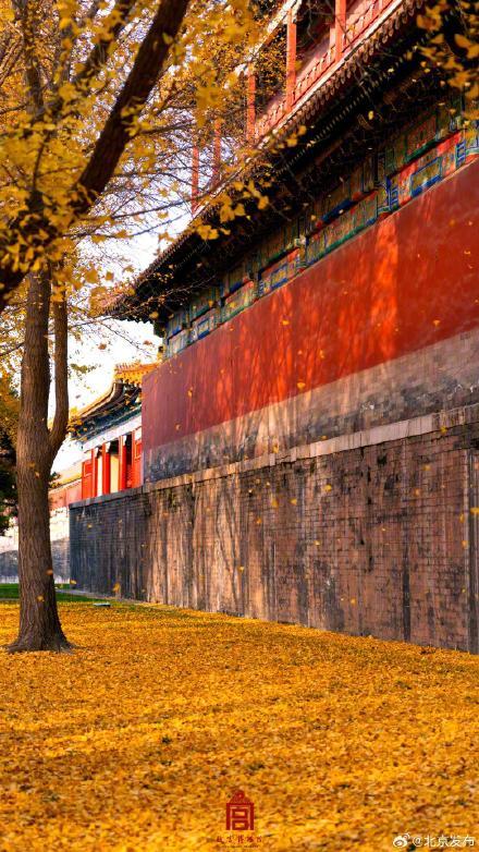 转发收藏！故宫初冬鎏金壁纸上新了