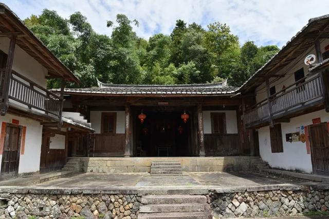 南洋风里飘着的根