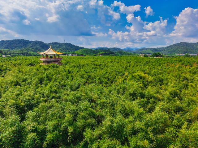 绿美竹乡！广宁打造粤港澳大湾区旅游康养目的地