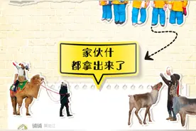 压不住压不住  东北人的幽默这一波赢麻了图片