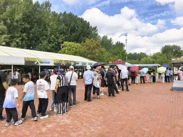 重磅消息！免票！滕州微山湖红荷湿地面向山东省内游客免门票啦