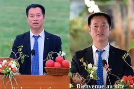 西安一村党支部书记用7国语言推介“泾渭分明”：大学生村官的创意，学了一周外语图片