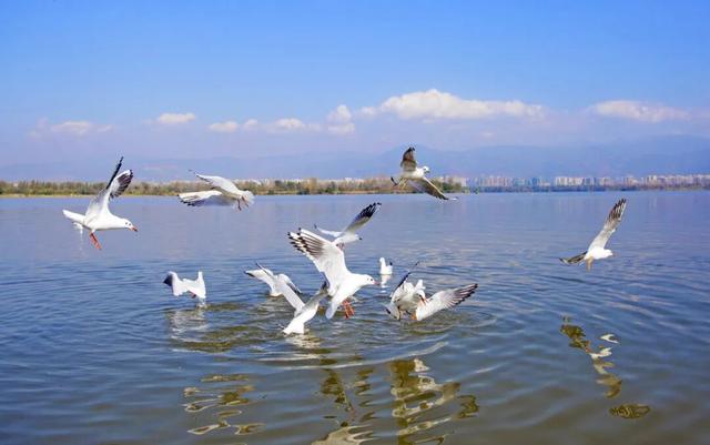 【冬季暖阳 凉山不凉】冬日打卡热榜！凉山，才是这个冬天的顶流之选