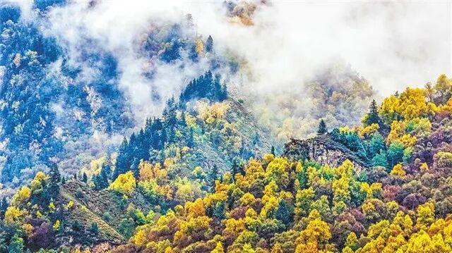 秋染陇原入画来