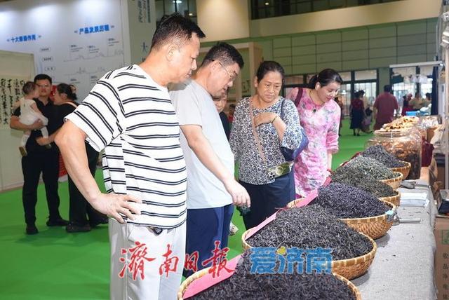 “泉・茶”盛宴第二天 市民共享文化茶香