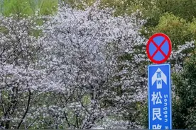 一碗5元菜连下6碗饭！杭州是什么味？他给出的答案意外了……图片