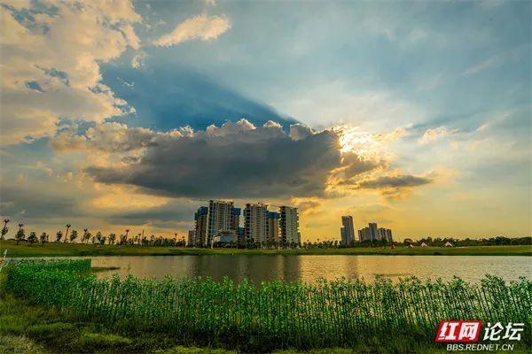 自然就在窗外！大泽湖近自然湿地公园：在城市客厅，邂逅羽翼天堂