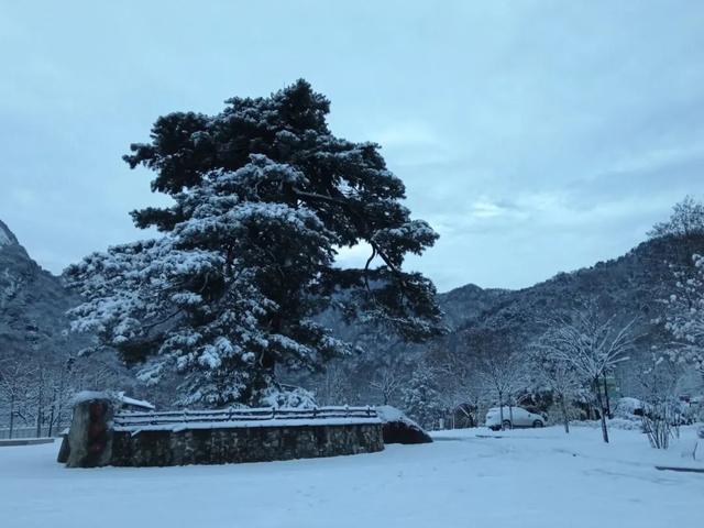 走！进山看西安2025冬天第一场雪！