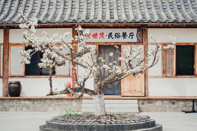 这个冬天去吉林，拥抱冰雪新生活