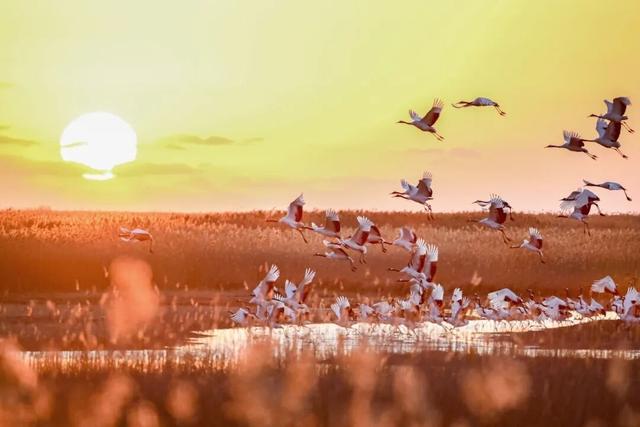 新年游玩线路：老自一条，老己一条，自己一条