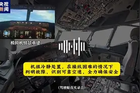 被忽视的航空灾难：“飞鸟撞机”有多危险？图片