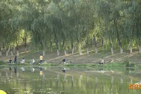 北京特色绿隔公园盘点，领略别样风景~图片