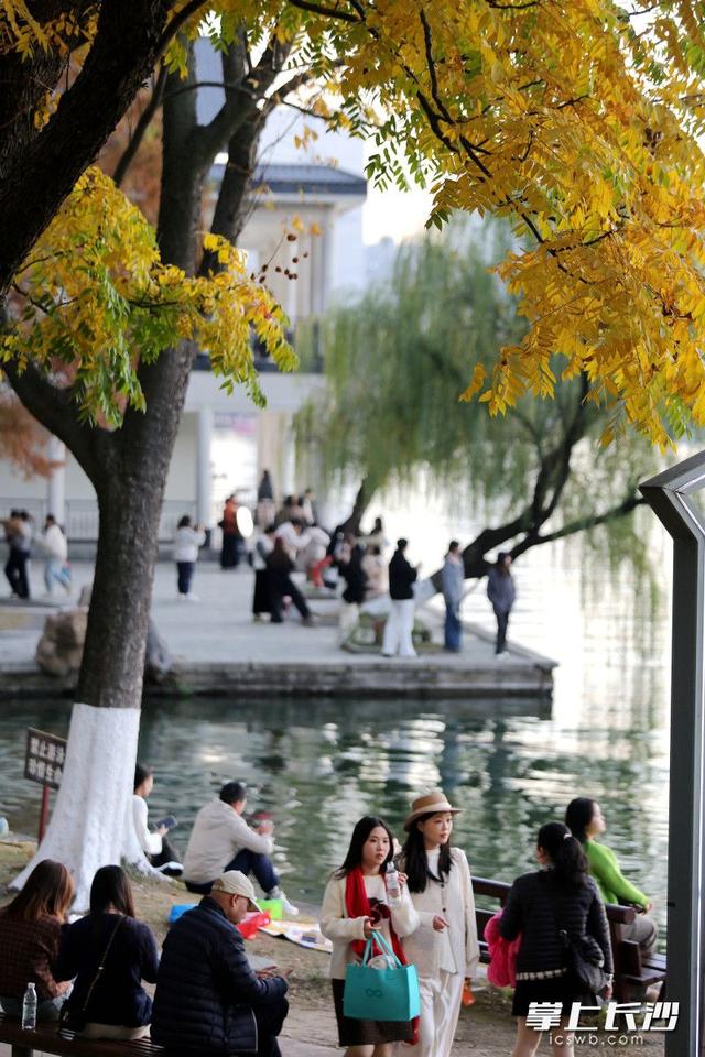 烈士公园“人从众”，29日入园游客超10万人次丨组图