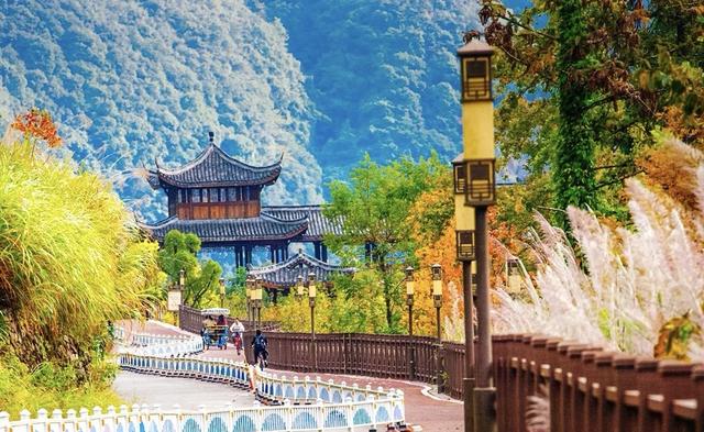 晚潮｜畲乡绿道：一场深情邂逅景宁的秋景