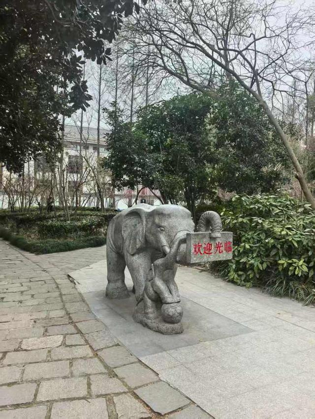 这个滑梯你小时候玩过吗？杨浦公园改造，始于上世纪60年代的大象滑梯全新亮相，还带来一个儿童乐园