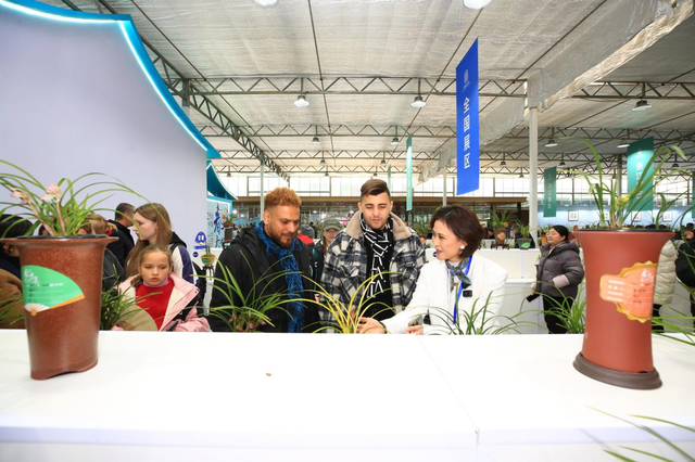 解锁春日限定浪漫 漓渚春兰大集即将举行