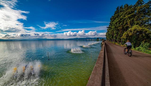 杞麓湖的初冬，藏着最温柔的治愈时光