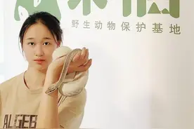 专科毕业一口气开两家公司，她是如何做到的？图片