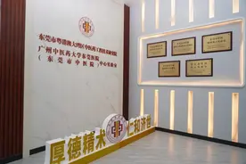 优秀！东莞这一经验推动粤港澳大湾区中医药融合发展图片