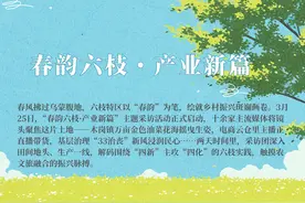 【春韵六枝・产业新篇】隔路供料！金兰硝基水溶肥项目助力打造“零距离”产业链图片