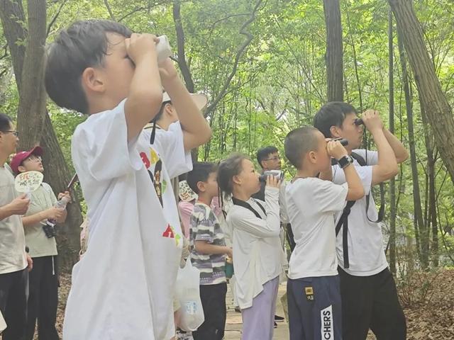 羽林探秘、绿脉解码、古树寻宝……这个暑假，亲子家庭沉浸式体验松江森林课堂