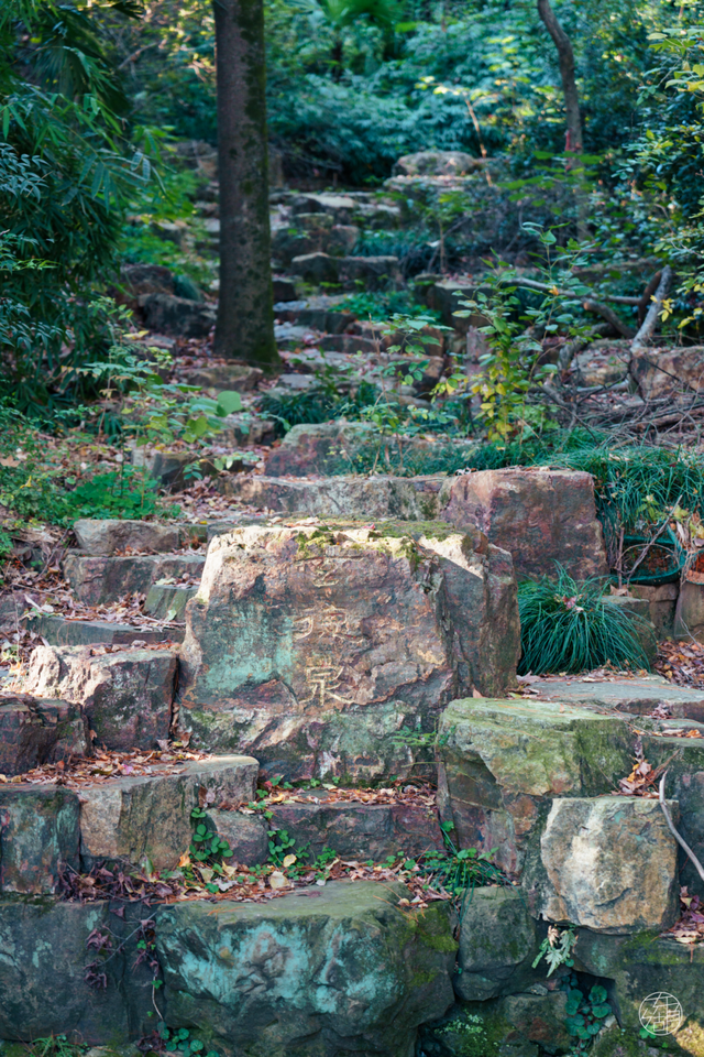 人少景美不绕路，东湖秋日彩蛋上新