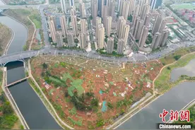 成都：70亩闲置土地分为560块微菜地成“社区农场”图片