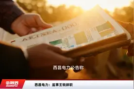 西昌电力：监事王锐辞职视频封面