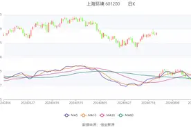 上海环境：2024年上半年净利润3.14亿元 同比增长3.35%图片