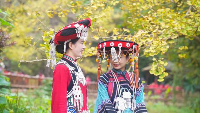 山村尽带黄金甲 古树银杏醉妥乐