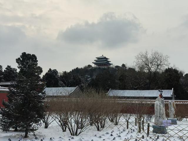 京城古韵，雪落红墙，一起感受北京冬日氛围感