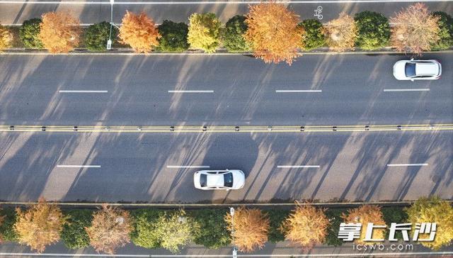 美不胜收！长沙县藏着一个五彩斑斓的秋丨组图