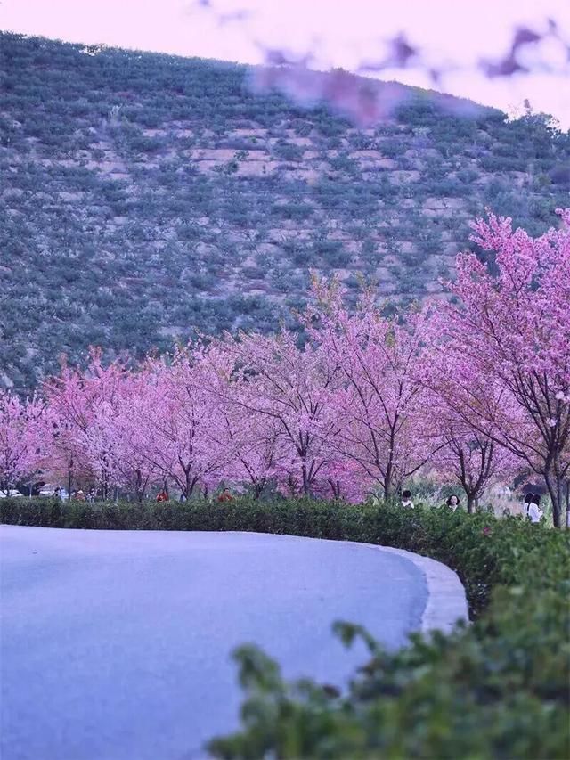 秋冬，来红河旅居吧！