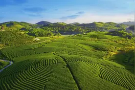 热点新论丨新能源“消纳”还差“临门一脚”图片