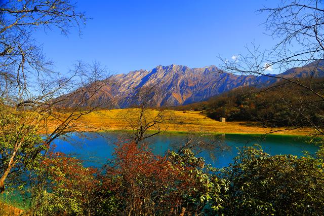 四川茂县层林尽染迎“盛会” 九鼎山开启“金色童话”观赏季