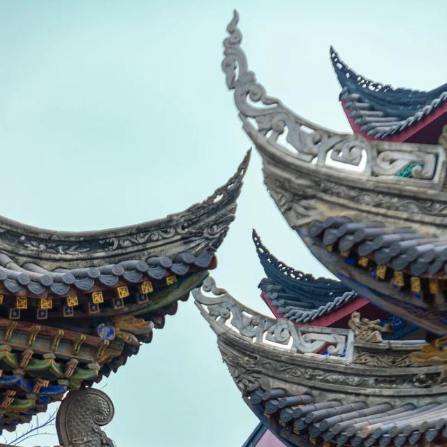 包出片的~城厢古城桂花打卡计划，走起→