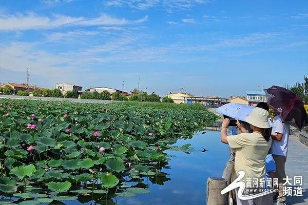 山西神溪国家湿地公园：“荷”美答卷