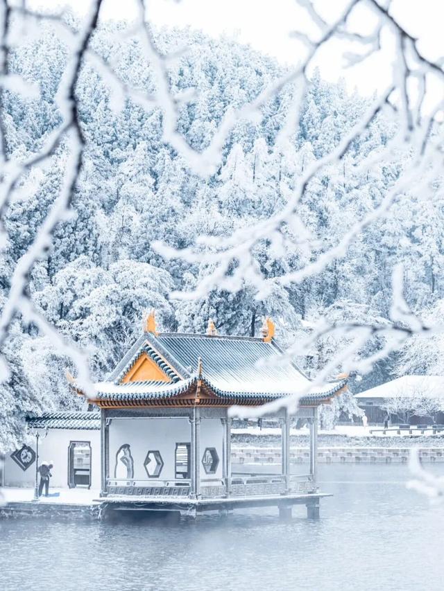 江西一夜入冬，可是雾凇怎么会这么好看！