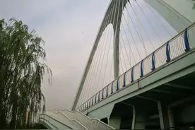 青未了丨芒种时节麦收忙图片