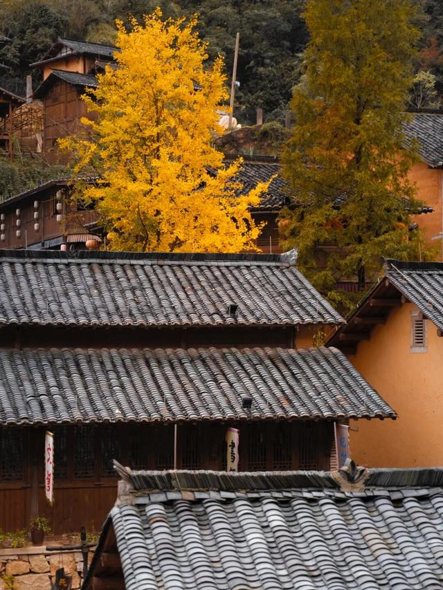今日立冬｜上饶冬始，山水藏韵