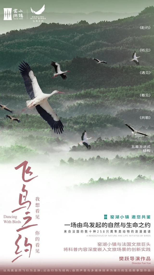 官宣 | 飞鸟之约：一场由鸟发起的自然与生命之约将于江苏宜兴窑湖小镇启幕！