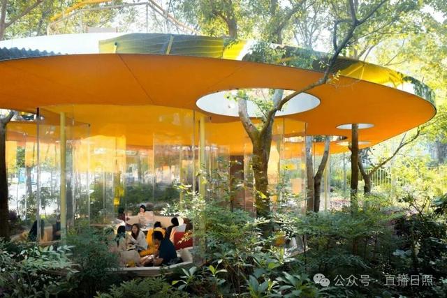 打工暂停！来日照这里，做一回「显眼包」！