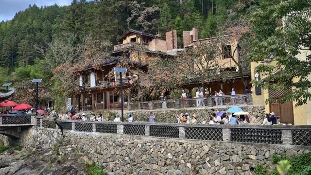 屏南：柿子红了，村子火了