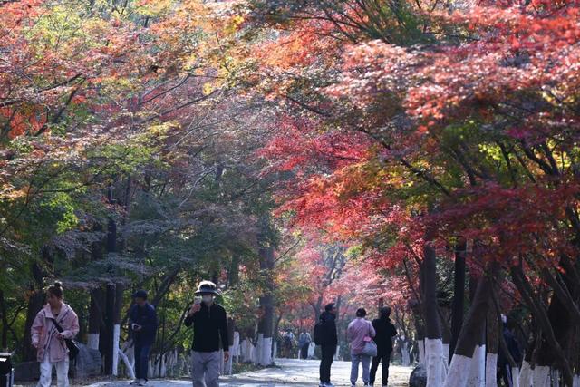 中大路 “红” 了！本周 C 位遛弯地预定！